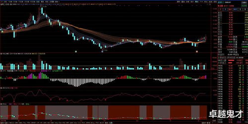 每日三股 2022年2月15日细胞技术研发与应用投资热点分析