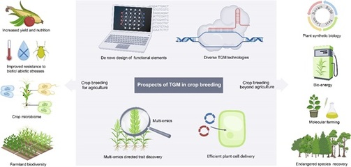 高彩霞研究组在Nature Reviews Genetics发表综述 基因组靶向修饰工具在作物育种中的前沿应用