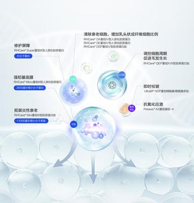 重组胶原蛋白赛道的创新解题思路 对话迪诺薇华孙璞谈细胞技术研发与应用
