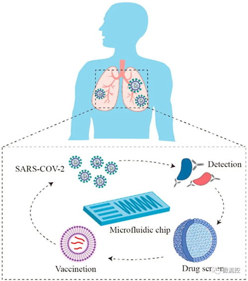 微流控技术在新冠肺炎诊断和药物研发及细胞技术领域的应用