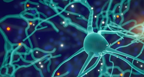 专访再生生物 像预防疾病一样抗衰，AI制药与细胞技术重塑抗衰老未来