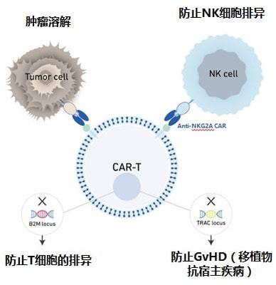 实体瘤CAR-T的破局者 科济药业李宗海谈全球研发进展、海外布局与下一代技术
