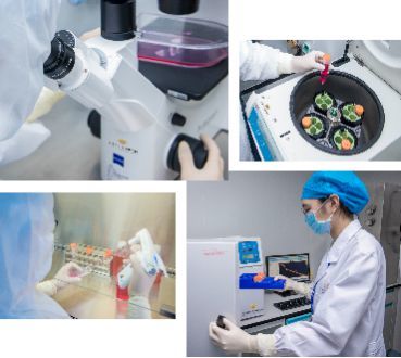 自贸区示范新篇章 壹加健康携手珠海市人民医院，开启细胞技术研发与应用生命健康战略合作