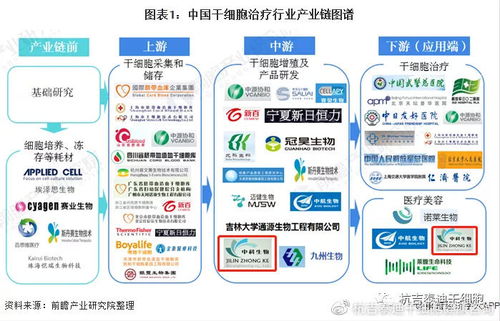 6大趋势告诉你 中国干细胞治疗在技术领域前景非常可观