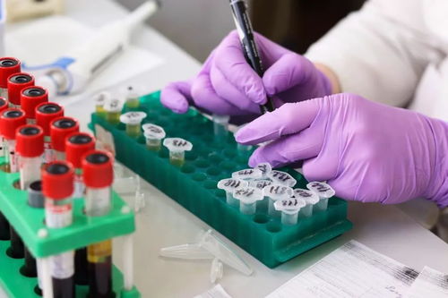 二代测序技术在肿瘤精准医学诊断中的应用专家共识 细胞技术研发与应用的融合之道