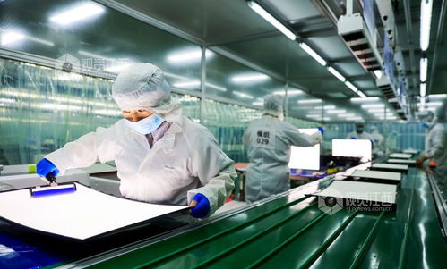 江西瑞昌 科技产品订单旺，细胞技术研发和应用驶入快车道