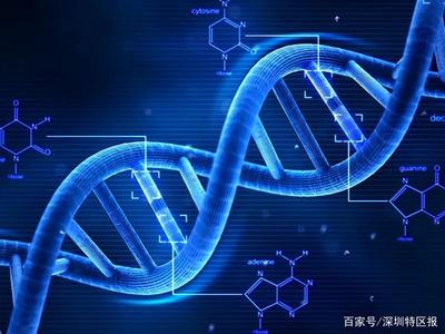 深圳为细胞和基因产业立法 划定创新与伦理红线，拟明令禁止生殖基因编辑