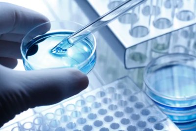 中国干细胞公司排名前十名 引领细胞技术研发与应用的创新力量